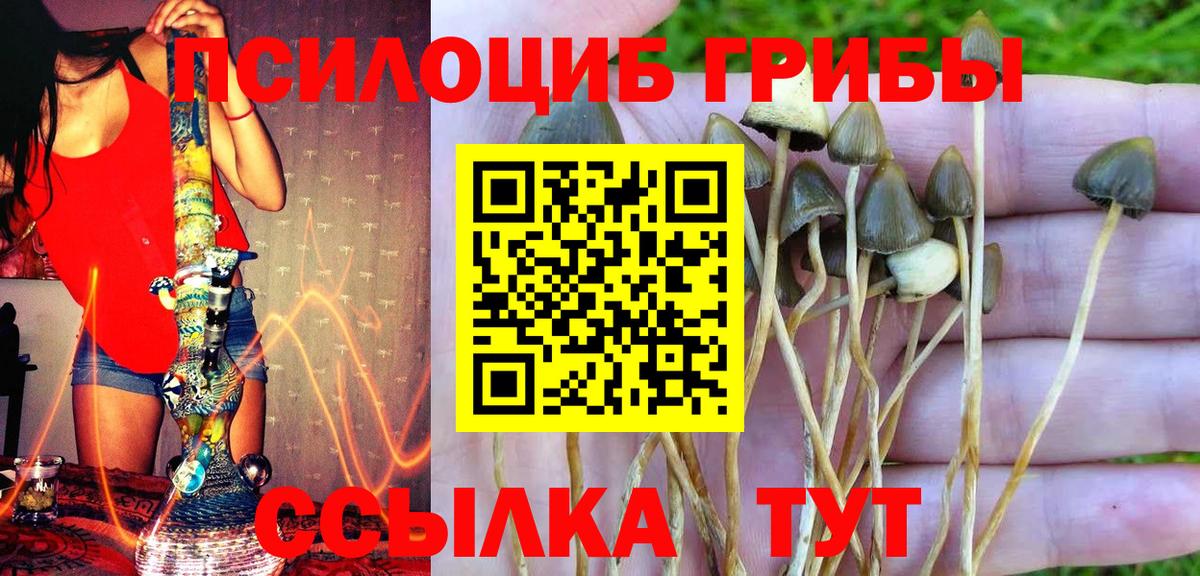 Галлюциногенные грибы Magic Shrooms  Вход с VPN  Лабинск 