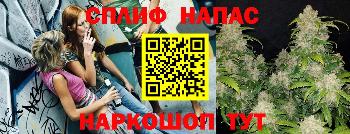 Бошки Шишки планчик Лабинск